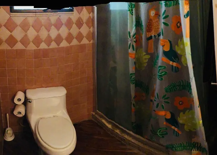 Bed and breakfast Casa Verde Mare *